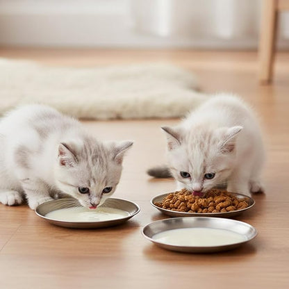 4Pcs Stainless Steel Cat Dishes for Food and Water, Flat Wide Shallow Cat Bowl, 5.51in Cats Food Plate for Kitten Puppy Small Dog Feeding