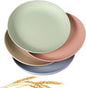 Wheat Straw Plates Lightweight Unbreakable Dinner Dishes Plates Set Dishwasher & Microwave Safe (Extra Large 4 Pack 10')