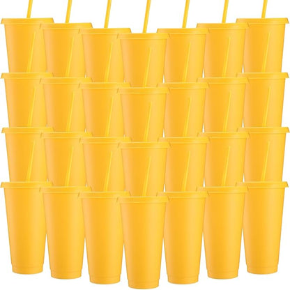 Honeydak 30 Pack Tumbler with Straw and Lid Bulk Cups by Honeydak