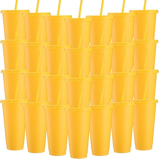 Honeydak 30 Pack Tumbler with Straw and Lid Bulk Cups by Honeydak