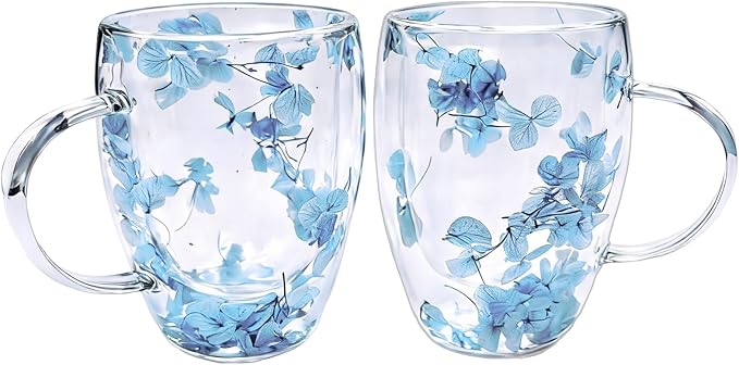 Viovian 13oz Double Wall Glass Coffee Mugs Set of 2 Insulated Glass Coffee Cups by Viovian