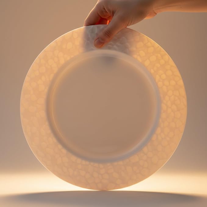 16 Piece Bone China Dinnerware Sets - Image 6