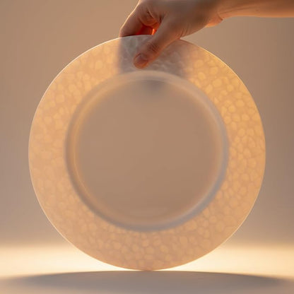 16 Piece Bone China Dinnerware Sets - Image 6