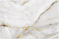 Fiokroo Marble with Golden Line Texture Placemats Set of 6 Table Mats Table by Fiokroo