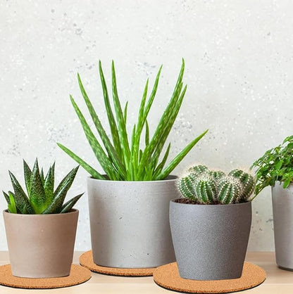 3 Pieces Cork Plant Coasters, 10 Inch Cork Plant Mats, Cork Coaster for Planters, Large Plant Coasters for House Plants Indoors (Nude & Black)