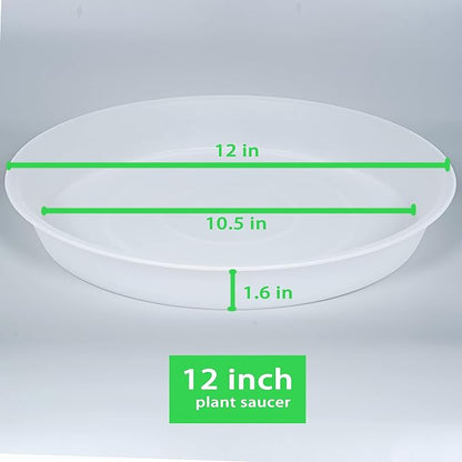 2 Pack of 12 inch Plant Saucer, 1.7" Depth Tray, Large Deep Garden Plastic - Image 2