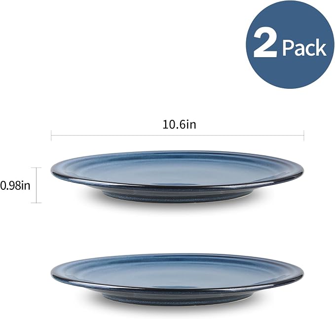 HASENSE Ceramic Dinner Plates Set of 2, 10 Inch Large Porcelain Pasta and Salad - Image 5