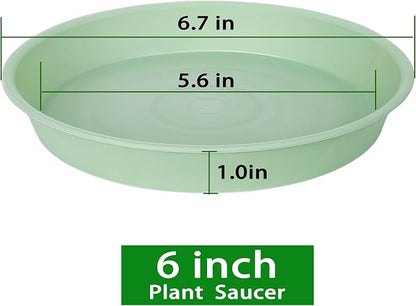 6 Pack of 6 inch Plant Saucer Drainage Tray, 4 5 7 8 10 12 13 15 17 19 inch - Image 2