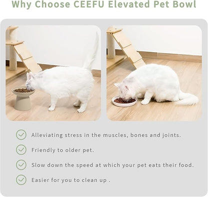 Extra Wide Elevated Ceramic Cat Bowl - 6.2" Shallow Dish for Whisker Fatigue Relief, 5" Height for Easy Feeding, Lead & Cadmium Free, Durable Raised Cat Food Bowls, Pottery Clay (Not Glazed)