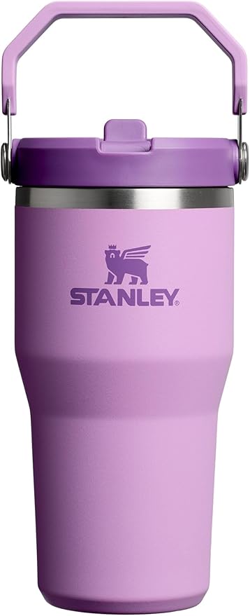 STANLEY IceFlow 2.0 Flip Straw Tumbler, 20 oz, Lilac | Easy Carry Handle | by Unknown