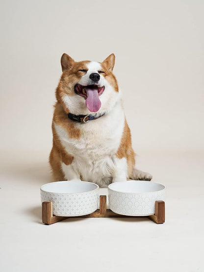 LE TAUCI Dog Bowl Set with Acacia Wood Stand - Image 7