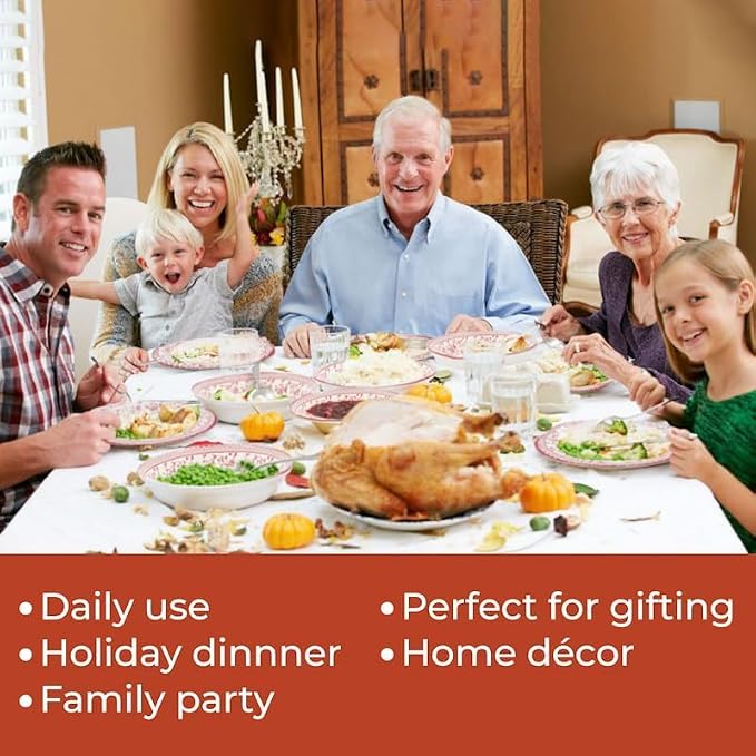 16-Piece Porcelain Dinnerware Set - Image 4