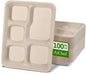 5 Compartment Paper Plates 100 Pack, 10 x 8 inch inch Disposable Lunch Trays, Divided Disposable Sectional Plate for School Lunch, Cafeteria, Buffet Church and Party