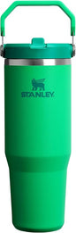 STANLEY IceFlow 2.0 Flip Straw Tumbler, 30 oz, Meadow | Easy Carry Handle | by Unknown