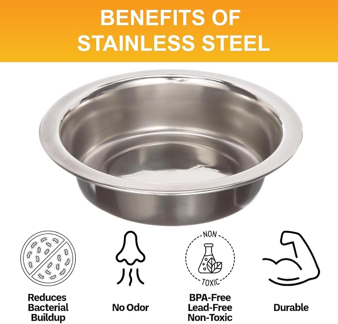 Neater Pet Brands 1 Cup Shallow Stainless Steel Cat Bowls, 1 Single Neater - Image 5