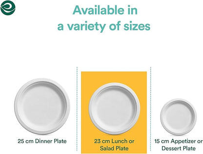 ECO SOUL 9 Inch Compostable Disposable Paper Plates [400 Pack] Food Safe 100% Virgin Bagasse Pulp Heavy Duty Biodegradable Microwave Safe Large Round Dinner Plate for Party, Picnic & BBQ (White)