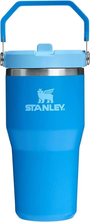 STANLEY IceFlow 2.0 Flip Straw Tumbler, 20 oz, Azure | Easy Carry Handle | by Unknown