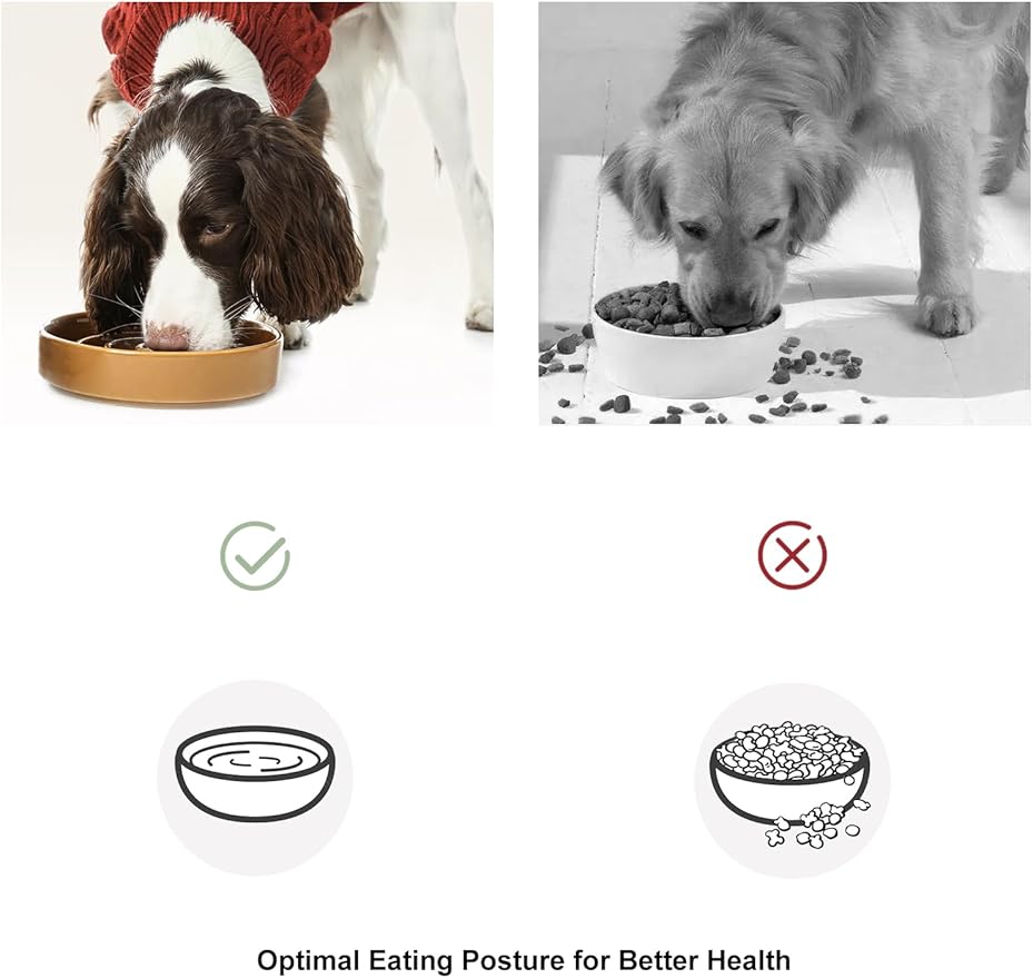 Ceramic Maze Dog Slow Feeder with Non-Slip Silicone Rim – Heavy-Duty Stoneware Bowl with Puzzle Pattern for Bloating & Obesity Prevention (Blue-S)
