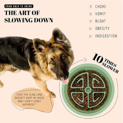 AVERYDAY Slow Feeder Dog Bowls for Large Breeds Fits Raised Feeding Station - Image 2
