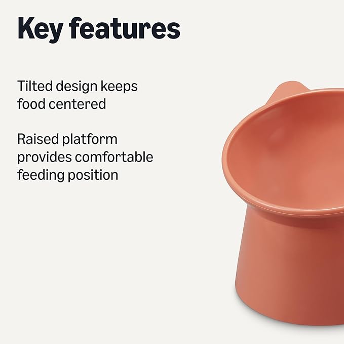 Amazon Basics Raised Cat Feeding Bowls, Cat Ear Shape, Tilted Design, - Image 2