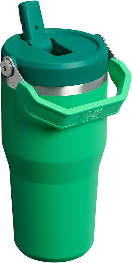 STANLEY IceFlow 2.0 Flip Straw Tumbler, 20 oz, Meadow | Easy Carry Handle | - Image 3