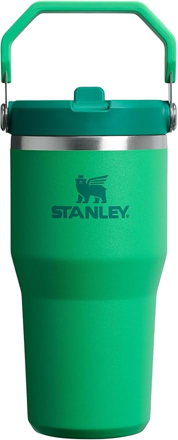 STANLEY IceFlow 2.0 Flip Straw Tumbler, 20 oz, Meadow | Easy Carry Handle | by Unknown