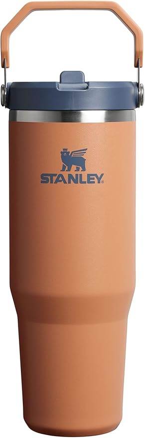 STANLEY IceFlow 2.0 Flip Straw Tumbler, 30 oz, Toast | Easy Carry Handle | by Unknown