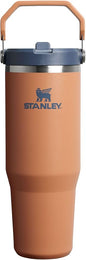STANLEY IceFlow 2.0 Flip Straw Tumbler, 30 oz, Toast | Easy Carry Handle | by Unknown