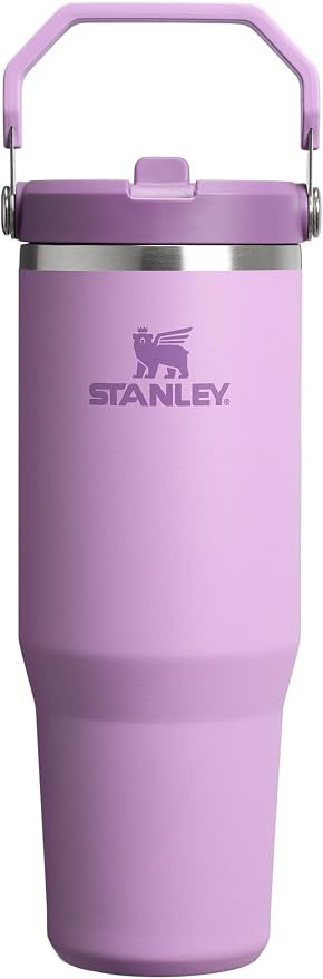 STANLEY IceFlow 2.0 Flip Straw Tumbler, 30 oz, Lilac | Easy Carry Handle | by Unknown