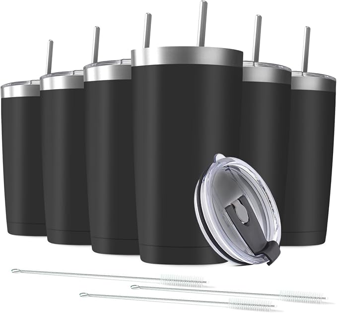 6 Pack 20 oz Stainless Steel Insulated Tumbler by Deitybless
