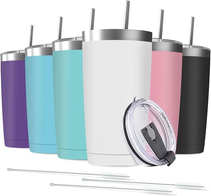 6 Pack 20 oz Stainless Steel Insulated Tumbler by Deitybless