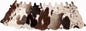 Cowhide Coaster Set of 6 pcs Natural Cowhide Drink Coasters Hair On Cow Shape by Unknown