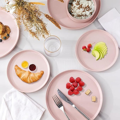 AmorArc Ceramic Dinner Plates Set of 6, 10.25 Inch Stoneware Plates for Kitchen,Modern Flat Dinnerware Dishes Set,Microwave& Dishwasher Safe, Scratch Resistant-Pink