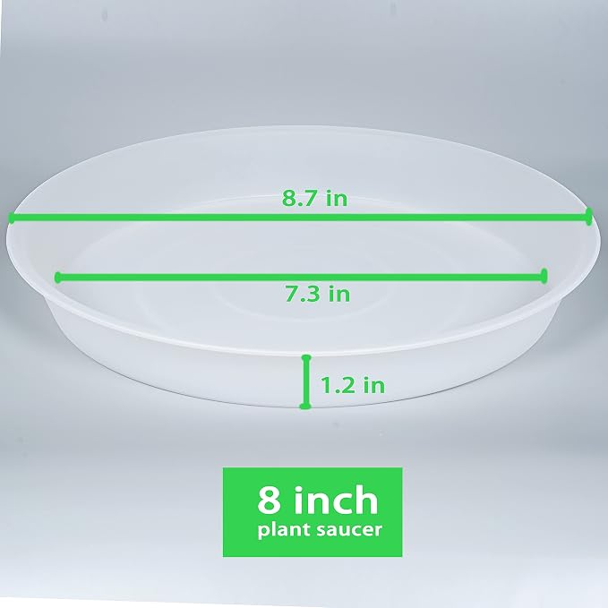 6 Pack of 8 inch Plant Saucer Clear, Heavy Duty Plastic Plant Water Tray 8 inch - Image 2