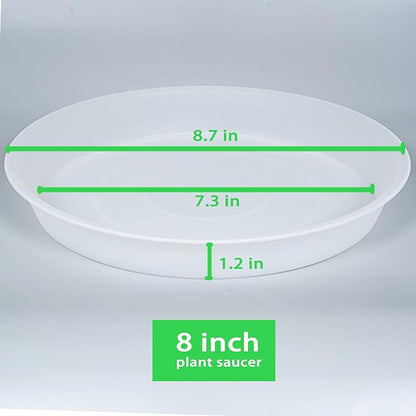 6 Pack of 8 inch Plant Saucer Clear, Heavy Duty Plastic Plant Water Tray 8 inch - Image 2