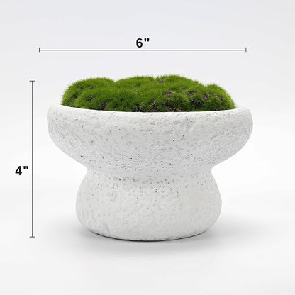 6'' Handmade Cement Bowl–Artificial Moss Centerpiece - Image 6