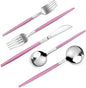 VANVRO Mirror Silver Rosy Silverware Set, 20-Piece Stainless Steel Flatware Set by VANVRO