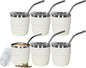 CHLJAR Espresso Cups, 4oz Insulated Espresso Cup Set of 6, Espresso Shot Cups by Unknown