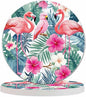Toucan and Flamingos Drink Coaster for Tabletop Protection Exotic Banana Tropical Leaves Jungle Animal Birds Non-Slip Cups Place Mats Home Decor Diatomite Material for Men Women