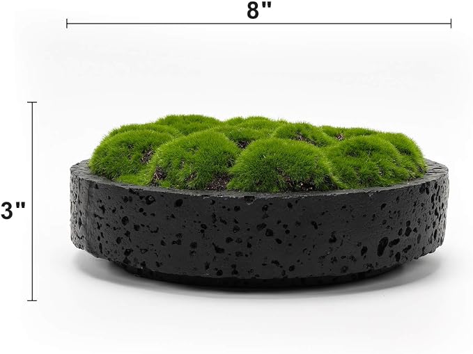 NAHARO New Moss Bowl, Living Room, or Coffee Table Display - Image 7