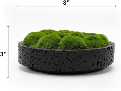 NAHARO New Moss Bowl, Living Room, or Coffee Table Display - Image 7