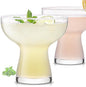 Martini Glasses Set of 2, 14oz Coupe Cocktail Glasses by LUNAMANTHA