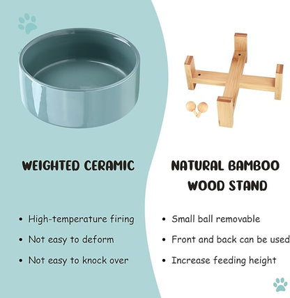 SPUNKYJUNKY 15° Slanted Ceramic Dog and Cat Bowl with Wooden Stand, Tilted Bulldog Food and Water Bowl No Slip Non-Spill for Cats Medium Dogs Big Face Pets 28.7 OZ (3.6 Cups, Light Green)