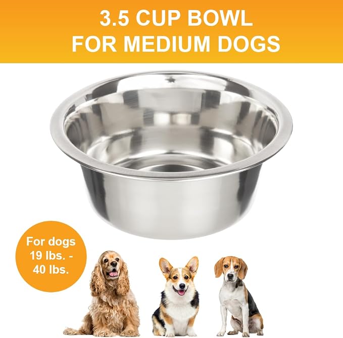 Neater Pet Brands 3.5 Cup Stainless Steel Dog Bowls, 1 Single Neater Feeder - Image 2