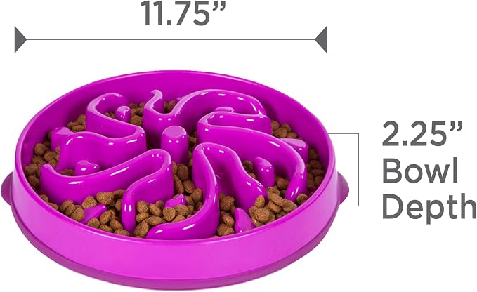Outward Hound Fun Feeder Slo Bowl – Large 4‑Cup Capacity, Slow Feeding - Image 7