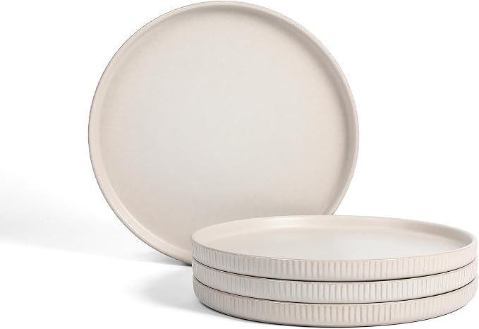 Stone Lain Haven Modern Stoneware 4 Piece Dinner Plates Sets, Dish Set by Unknown