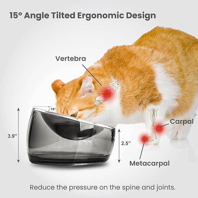 Felli Oblik Elevated Cat Bowl Removable Stainless Steel Wide Dish for Dry Wet Food Feeding & Dishwasher Clean, Slanted Whisker Fatigue Friendly Metal Plate (Smoky, 0.5 Cups Shallow Dish)