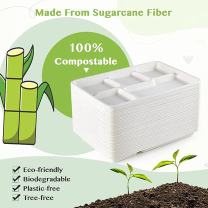 Compostable Disposable 5 Compartment Paper Plates, 12.5inch | 100 Pack - Image 4