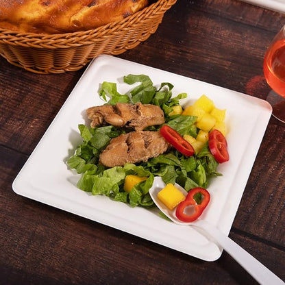 SUT 8-Inch Biodegradable Bagasse Plates, 100 PCS Heavy-Duty Microwaveable, Eco-Friendly Natural Disposable, Made of Sugarcane Fibers, for Party, Picnic