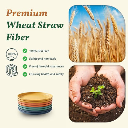 5.7 Inch Small Plates-Wheat Straw Mini Plate, Unbreakable Plate Set Ideal - Image 3